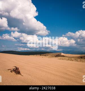 Il paesaggio con sabbia del deserto di Chara colorato Foto Stock