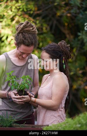 Theyve entrambi hanno ottenuto le dita verdi. Una giovane coppia felice godendo una giornata di giardinaggio. Foto Stock