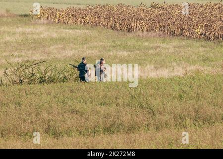 Due cacciatori armati di fucili aspettano di sparare la loro preda in un campo con girasoli secchi sullo sfondo Foto Stock