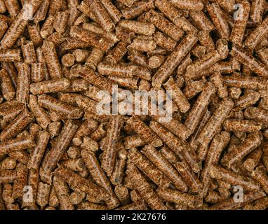 Pellets di legno duro per il fumo di alimenti Foto Stock