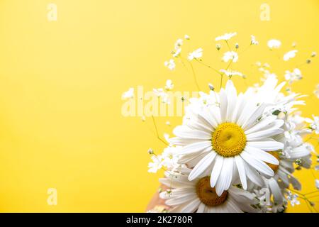 Composizione floreale. Fiori di camomilla su sfondo giallo. Primavera, estate concetto. vista dall'alto, spazio di copia Foto Stock