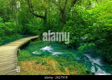 Punto di vista percorso alla natura krka parco nazionale croazia concetto di avanzamento relax godere Foto Stock