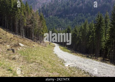 Soleggiato percorso in pietra a beskydy Bily kriz Foto Stock