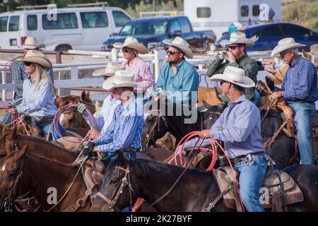 Un gruppo di cowboy e cowgirl aspettano il loro turno sui cavalli ad un rodeo in Fruita Colorado Foto Stock