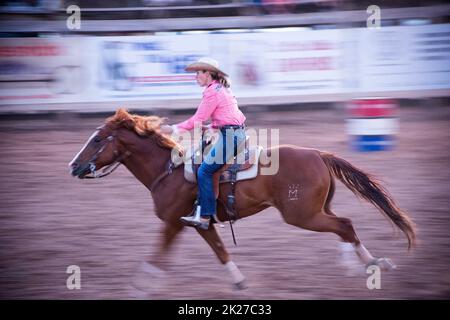 Una cowgirl galoppa a tutta velocità nelle corse al rodeo di Fruita, Colorado, USA Foto Stock