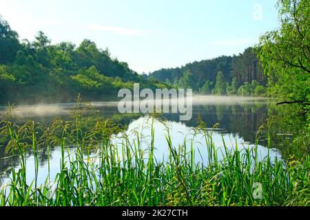 il fiume è coperto di nebbia all'alba. Foresta si riflette nel fiume in estate Foto Stock
