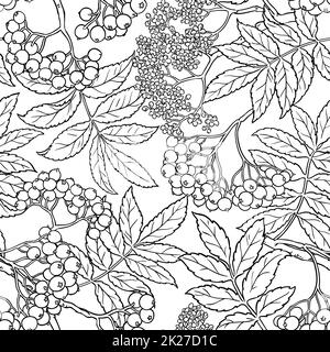 ripetizione senza giunture rowan Foto Stock