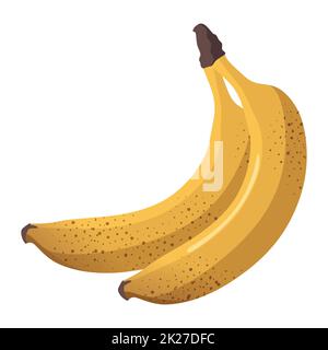 Banana gialla fresca realistica isolata su sfondo bianco - Vector Foto Stock