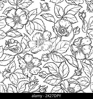 fiori di rosa selvatico modello senza cuciture Foto Stock