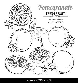 set vettoriale di frutti di melograno Foto Stock