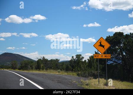 Cervi che attraversano il cartello giallo mentre si guida per le strade dell'Arizona Foto Stock