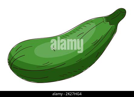 Zucchine fresche realistiche e mature isolate su sfondo bianco - Vector Foto Stock