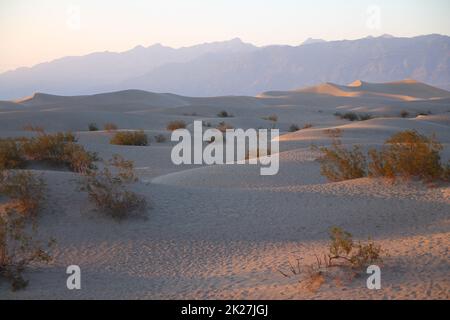 Mesquite Flat Dunes con le montagne sul retro durante un tramonto rosa nel deserto della Valle della morte Foto Stock