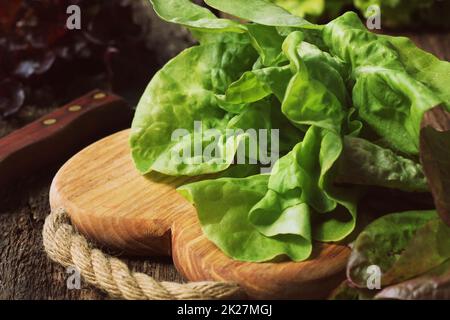 Materie organiche verde lattuga burro pronto per Tritare sul tagliere con coltello Foto Stock