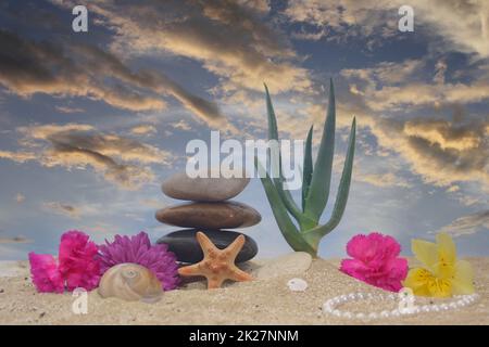Pianta di aloe vera con fiori e conchiglie di mare sulla sabbia Foto Stock