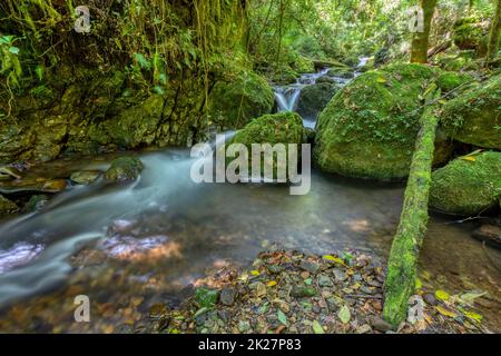 Montagna selvaggia fiume Rio Savegre. San Gerardo de Dota, Costa Rica. Foto Stock