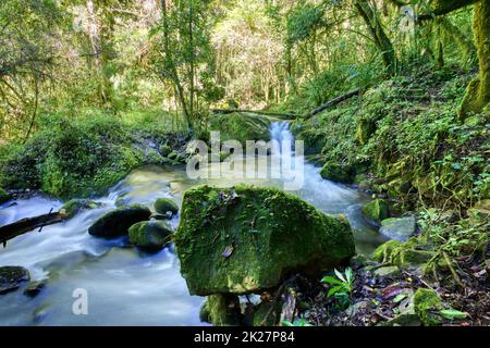 Montagna selvaggia fiume Rio Savegre. San Gerardo de Dota, Costa Rica. Foto Stock