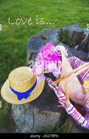 Picnic sulla natura Foto Stock