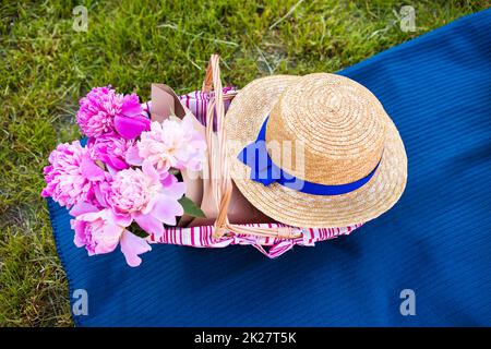 Picnic sulla natura Foto Stock