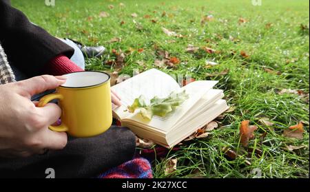 Una ragazza si siede su una coperta nella foresta autunnale, legge un libro e beve una bevanda calda da una tazza gialla in un parco cittadino in una giornata calda su un prato verde. Il concetto di lettura, relax e comfort. Foto Stock