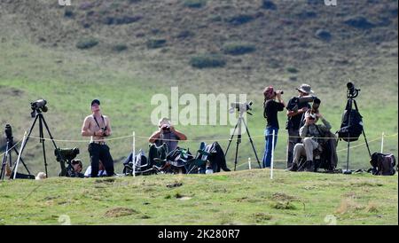 Bird watchers guardare aquile d'oro sul col du Soulor nelle montagne dei pirenei al confine con la Francia e la Spagna Foto Stock