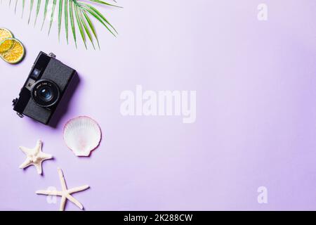 film fotografici, conchiglie, foglie, stelle marine accessori per il viaggiatore sulla spiaggia Foto Stock