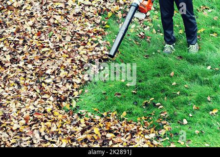 Giardiniere cancellazione fino alle foglie usando un soffiatore attrezzo Foto Stock