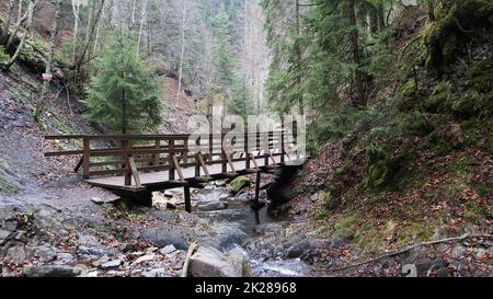 Landscape of a mountain river in the forest in early autumn and late summer. water in a natural stream. beautiful and relaxing forest with a river. River deep in mountain forest. Nature composition. Foto Stock