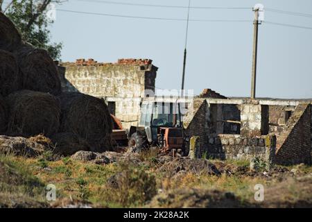 Vecchio trattore in rovine allevamento bovini Foto Stock