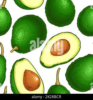 pattern vettoriale di avocado su sfondo bianco Foto Stock