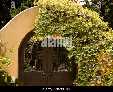 Vecchie porte con fiori Foto Stock