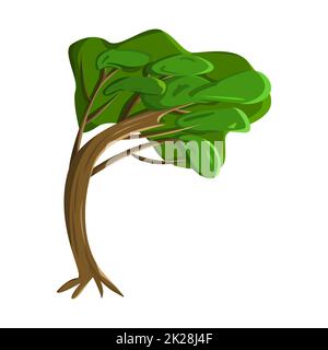 Realistico verde vecchio albero alto isolato su sfondo bianco - Vector Foto Stock