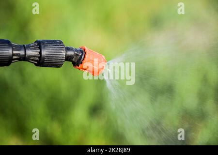 La spruzzatura di un erbicida dall'ugello del manuale dell'irroratrice Foto Stock