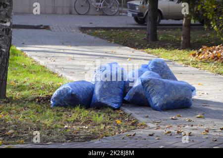 sacchetti con foglie asciutte. Pulizia delle foglie nel parco Foto Stock