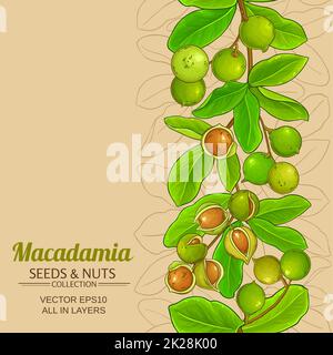 la macadamia ramifica il pattern vettoriale Foto Stock