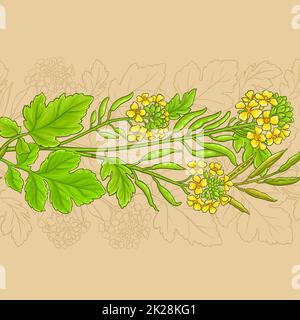 motivo vettoriale della pianta della senape su sfondo colorato Foto Stock
