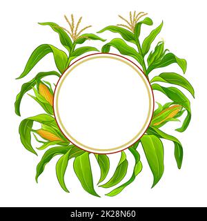 cornice vettoriale per piante di mais su sfondo bianco Foto Stock