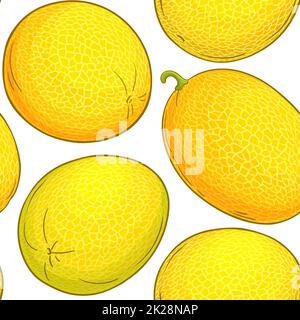 melone fruit vettore pattern su sfondo bianco Foto Stock