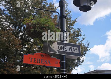 Cartello di sola andata e cartello arancione Teresa Street appeso su un palo nero in Sleepy Hollow Foto Stock