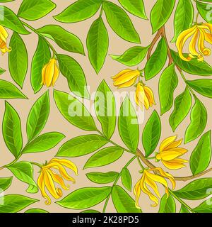 ylang ylang ramifica il pattern vettoriale su sfondo a colori Foto Stock