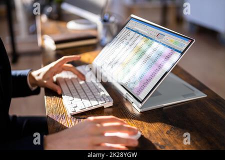 Analista o revisore di fogli elettronici che utilizza il software Foto Stock