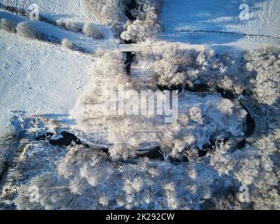 Bosco invernale con vista aerea dall'alto del gelo. Alberi sulla riva del fiume. Piccolo torrente nella foresta. Strada sterrata rurale. Campo innevato paesaggio. Clima freddo Foto Stock