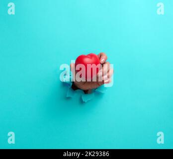 mano femminile che tiene un cuore rosso su sfondo blu. Parte del corpo fuoriesce dalla carta strappata Foto Stock