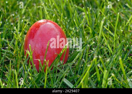 Immagini simboliche sul tema della Pasqua, delle uova e dei costumi pasquali Foto Stock