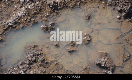 Un modo nel fango e pozzanghere sulla strada sporca. Fango puddles dopo la pioggia, terreno sporco. Foto Stock