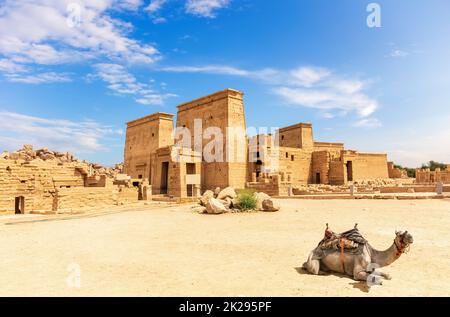 Tempio di Philae e un cammello, bella giornata di sole, Assuan, Egitto Foto Stock