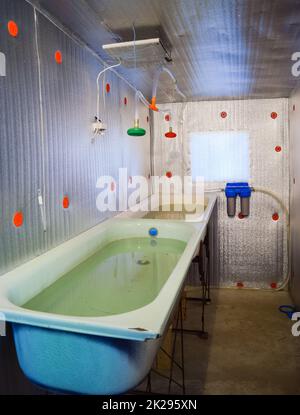 Una camera per far crescere gli avannotti. Vasca da bagno per la Repubblica federale di Iugoslavia. Un pesce-vivaio Foto Stock