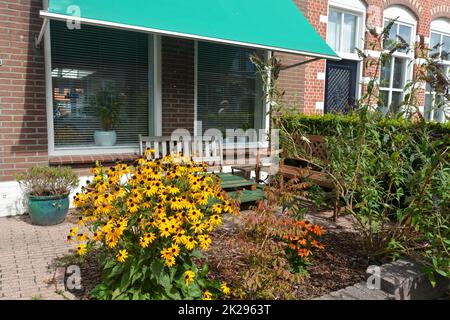 Facciata tipica della casa con giardino frontale e fiori a ZIERIKZEE, Paesi Bassi Foto Stock