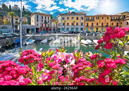 Città di Menaggio sul lago di Como vista sui fiori Foto Stock