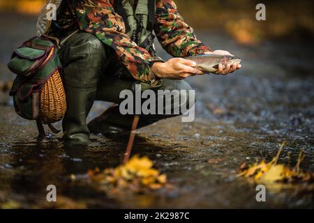 Vista ravvicinata delle mani di un pescatore a mosca in possesso di una bella trota mentre la pesca con la mosca su di uno splendido fiume di montagna Foto Stock